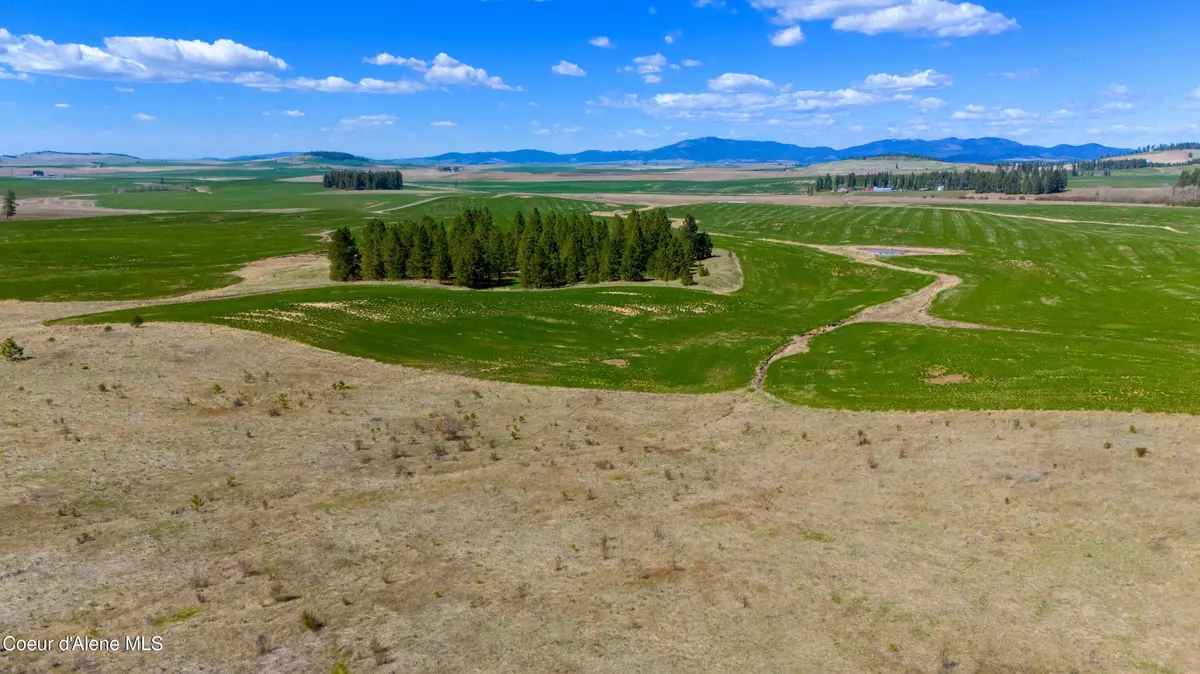 Plummer, ID 83851,Lot 5 Lone Moose Dr