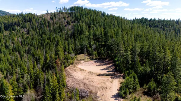 Plummer, ID 83851,Lot 10 Lone Moose Dr
