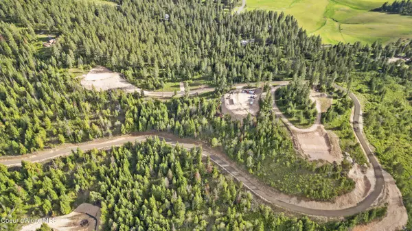 Plummer, ID 83851,Lot 11 Lone Moose Dr