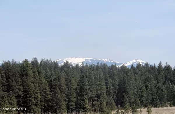 1231 Bill Morris Road, Plummer, ID 83851