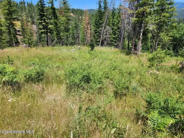 Pinehurst, ID 83850,112 Blazing Saddle Ct