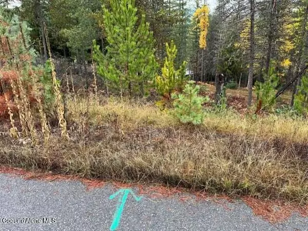 Pinehurst, ID 83850,102 Blazing Saddle