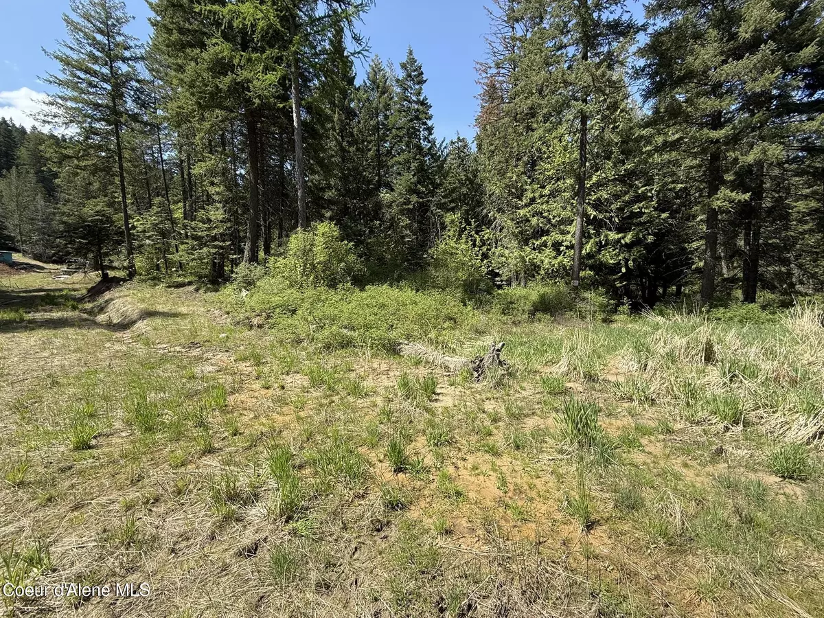 Tensed, ID 83870,NKA Paper Ln