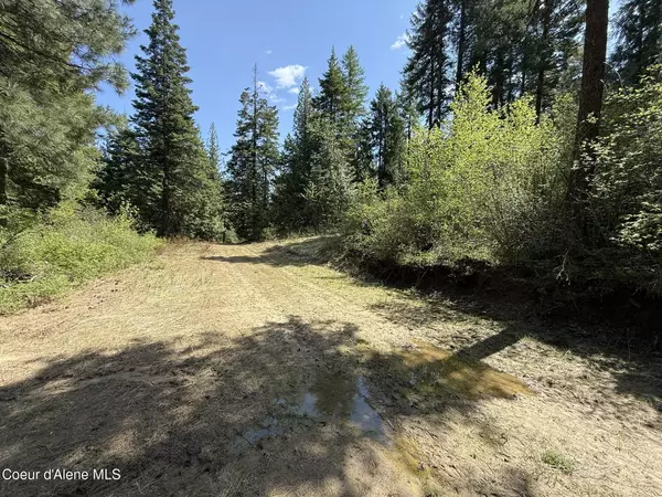 Tensed, ID 83870,NKA Paper Ln