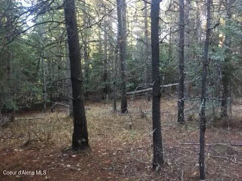 Fernwood, ID 83830,325 Buckskin Lane