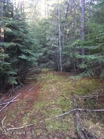 Fernwood, ID 83830,325 Buckskin Lane