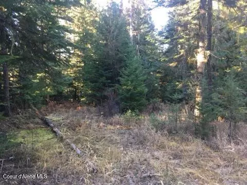 Fernwood, ID 83830,325 Buckskin Lane