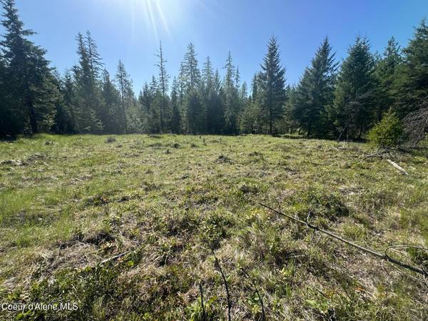 NNA Backroads Way 12.5 Acres, Priest River, ID 83856