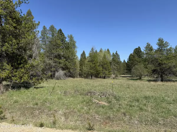 Priest River, ID 83856,NNA Sanborn Creek Rd  Lot 2