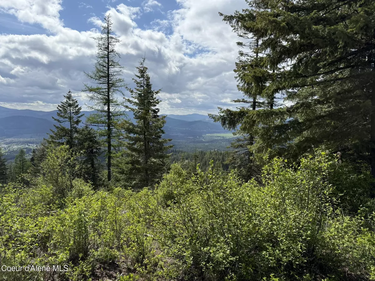 Fernwood, ID 83830,397 Upriver View