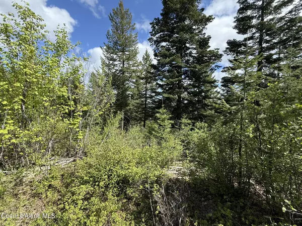 Fernwood, ID 83830,397 Upriver View