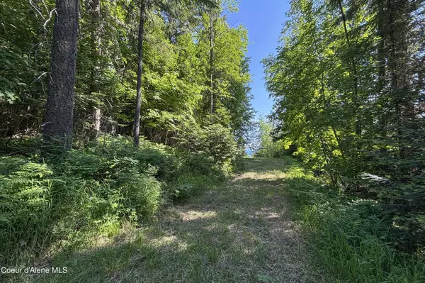 Sagle, ID 83860,nna Moonbeam RD