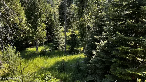 Wallace, ID 83873,NKA Beaver Creek Rd