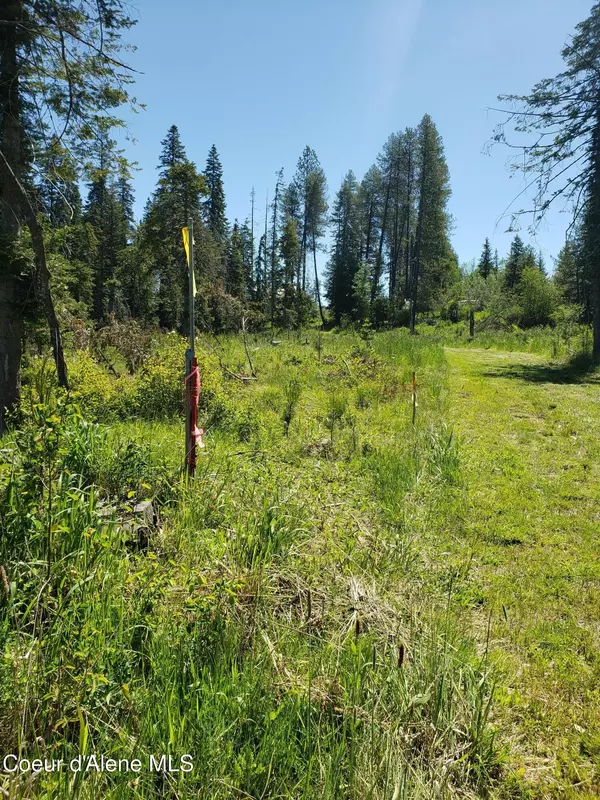 Fernwood, ID 83830,313 Sunset St