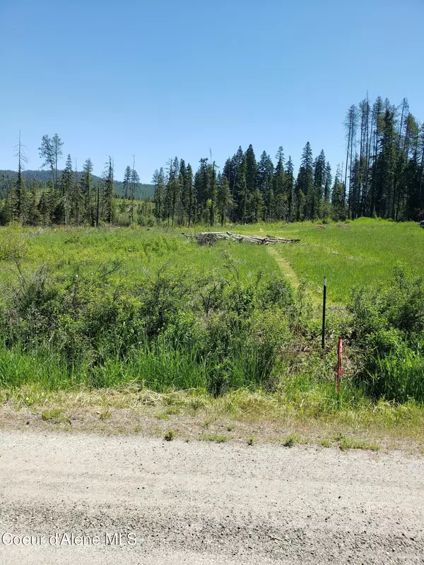 Fernwood, ID 83830,313 Sunset St