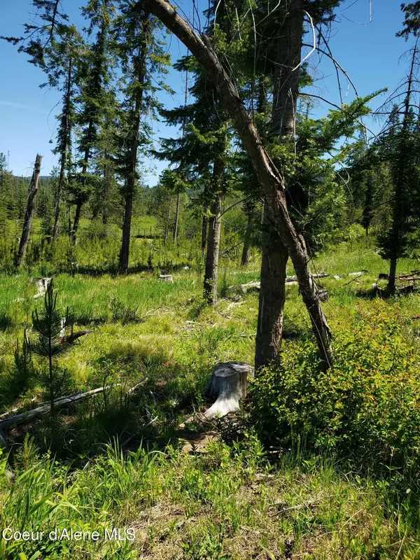 Fernwood, ID 83830,313 Sunset St