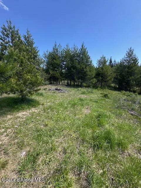 Fernwood, ID 83830,630 Willow LOOP