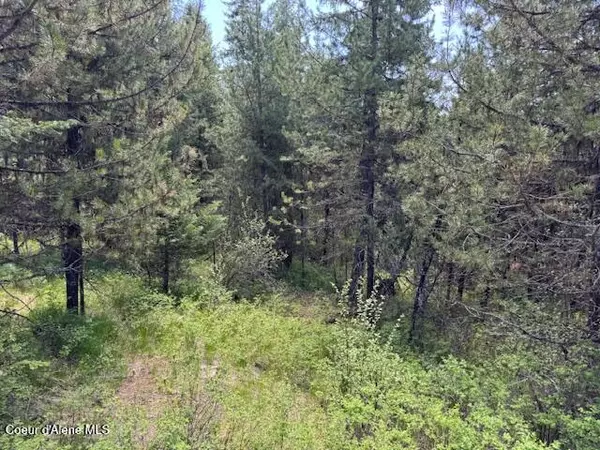 Fernwood, ID 83830,630 Willow LOOP