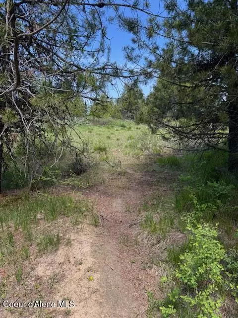 Fernwood, ID 83830,630 Willow LOOP