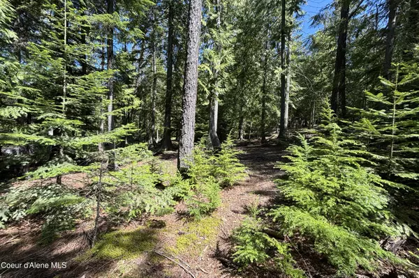 171 Whispering Pines Rd, Sagle, ID 83860