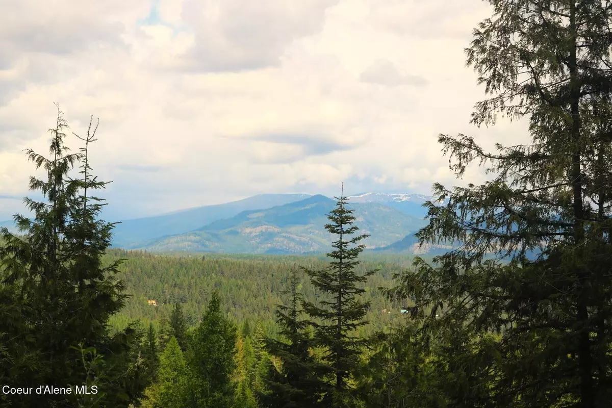 Priest River, ID 83856,718C Slippery Slope TRL