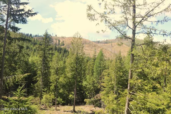 Priest River, ID 83856,718C Slippery Slope TRL