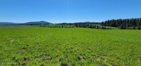 Sunny Slopes Rd Lot 4 Block A, Worley, ID 83876