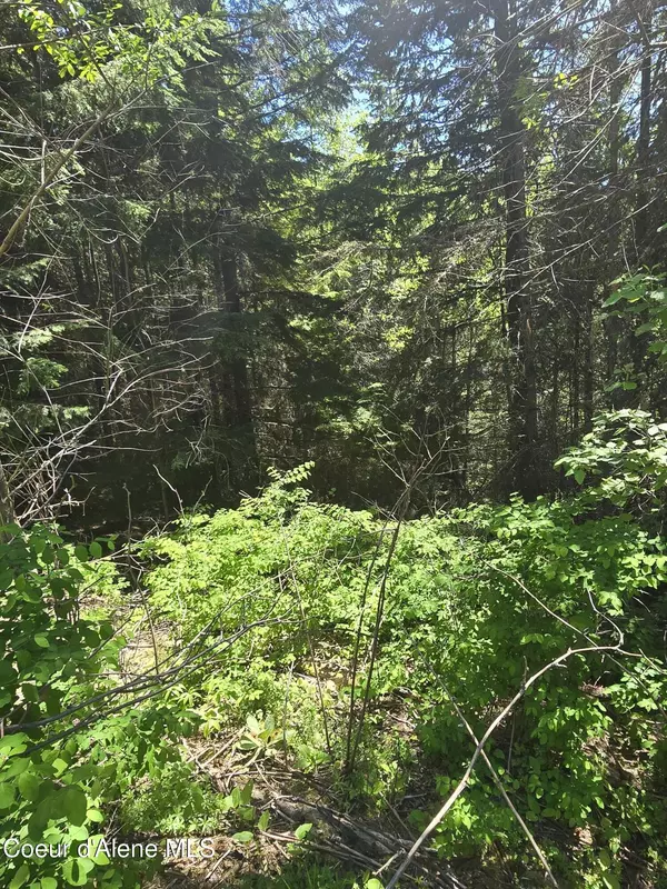 Fernwood, ID 83830,1200 Alpine Dr