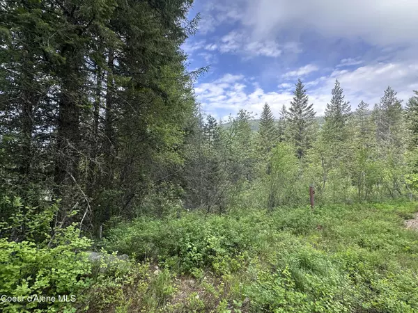 Sandpoint, ID 83864,755 Twilight Ln