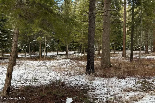 Blanchard, ID 83804,NKA Pleasants View Rd