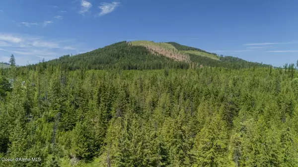 St. Maries, ID 83861,923 Sportsman Rd