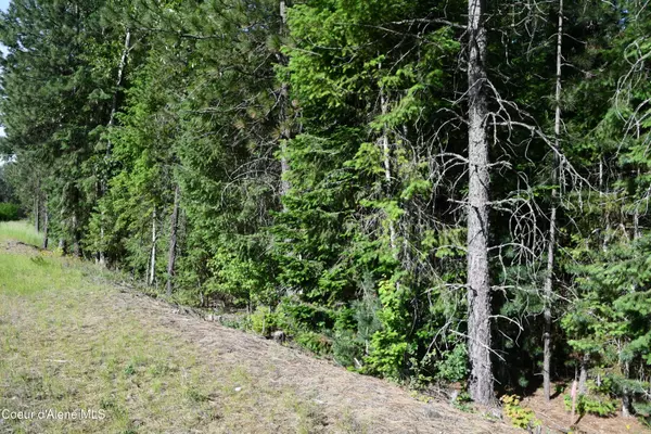 Pinehurst, ID 83850,100 Vets Rd