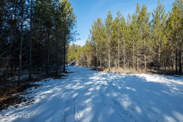 Oldtown, ID 83822,NKA Lot 1 Hoo Doo Loop Rd