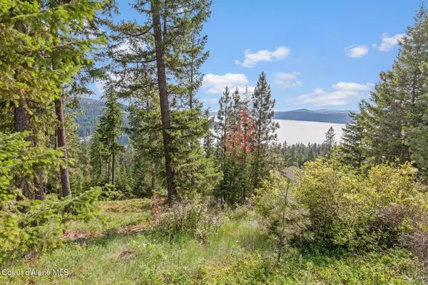 Harrison, ID 83833,L2B2 S Hanson Rd