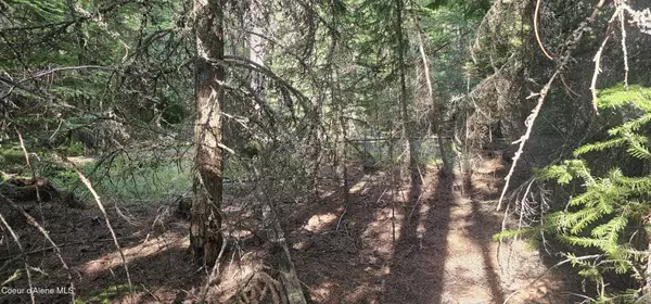 Bonners Ferry, ID 83805,NNA Bethlehem Rd Lot 56