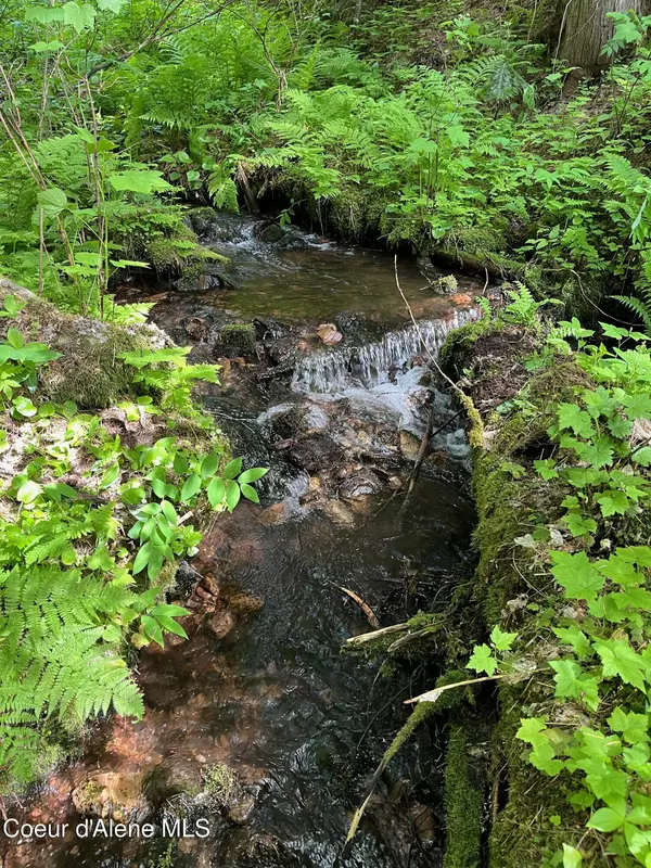 Fernwood, ID 83830,1531 Upriver View Dr