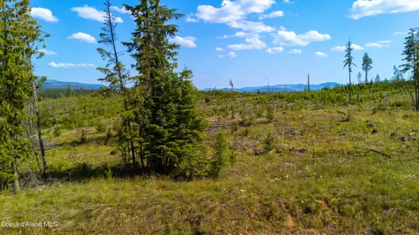 Lot 8 Sportsman Rd, St. Maries, ID 83861