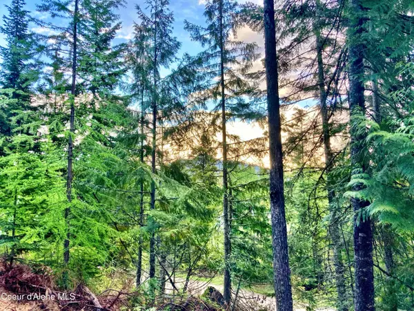 Sandpoint, ID 83864,NNA White Mountain Rd