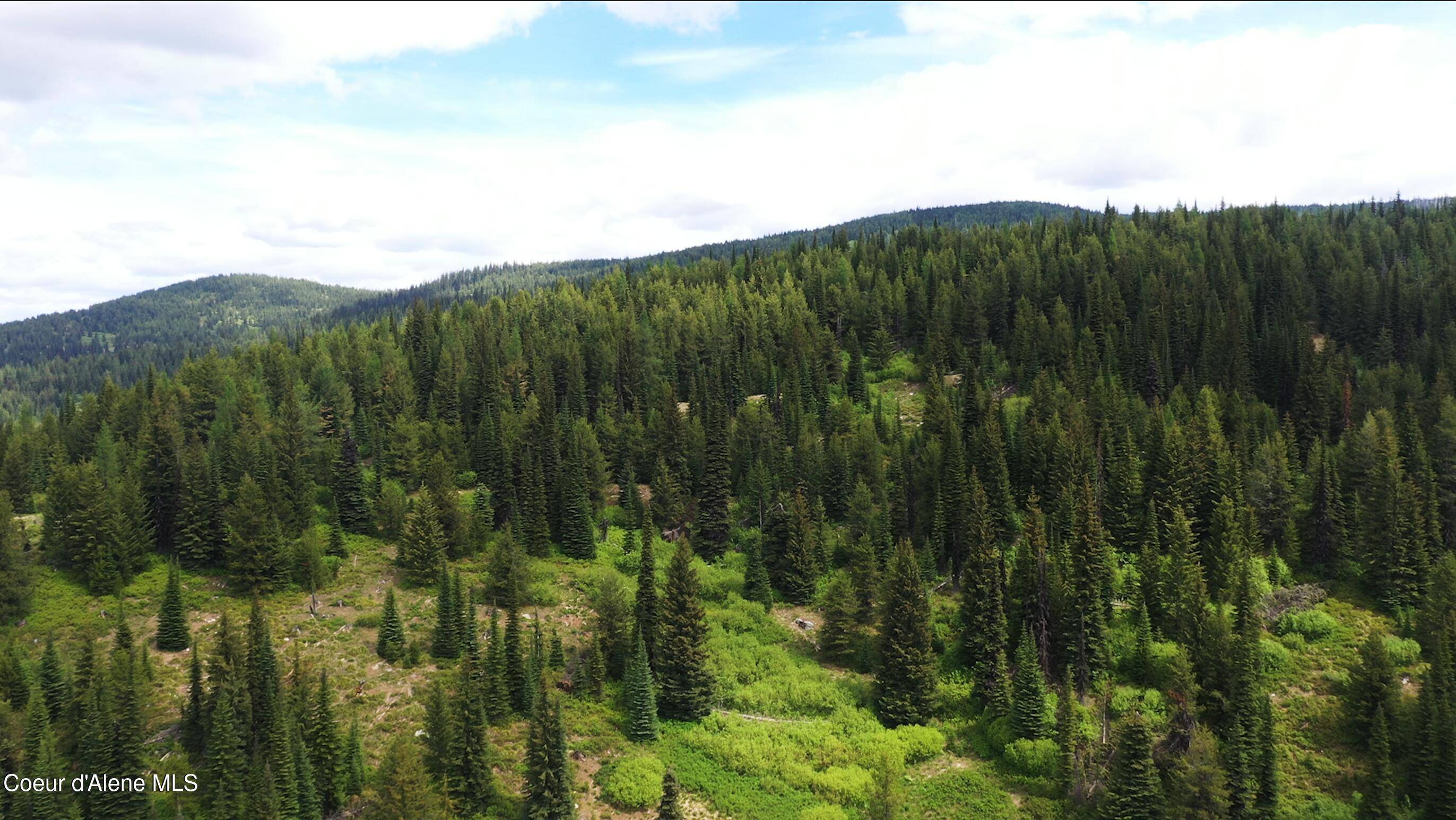 NE 160 AC Pack Creek RD, Unincorporated, ID 83525