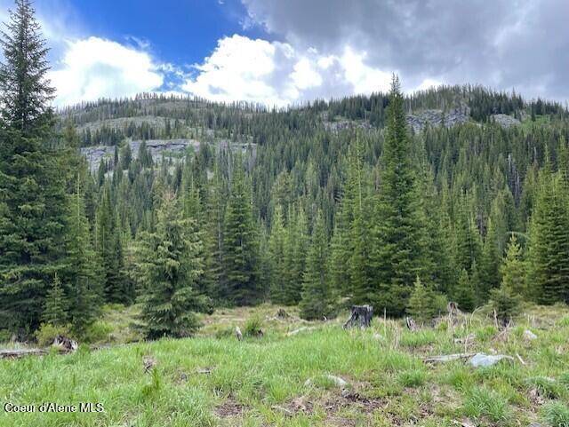 Unincorporated, ID 83525,NKA 640 AC Shoot Creek RD