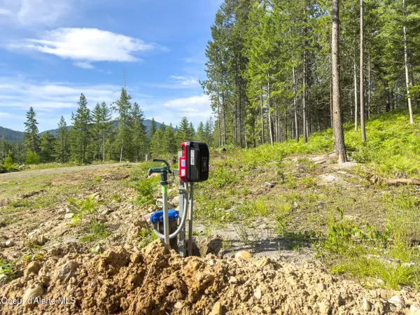 Sagle, ID 83860,217 Gold Mountain (12.01 acres) Dr