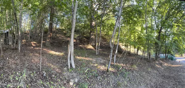 Harrison, ID 83833,NNA Park Ave. Lots 4 & 5