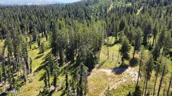 Fernwood, ID 83830,Parcel 10 Green Valley RD