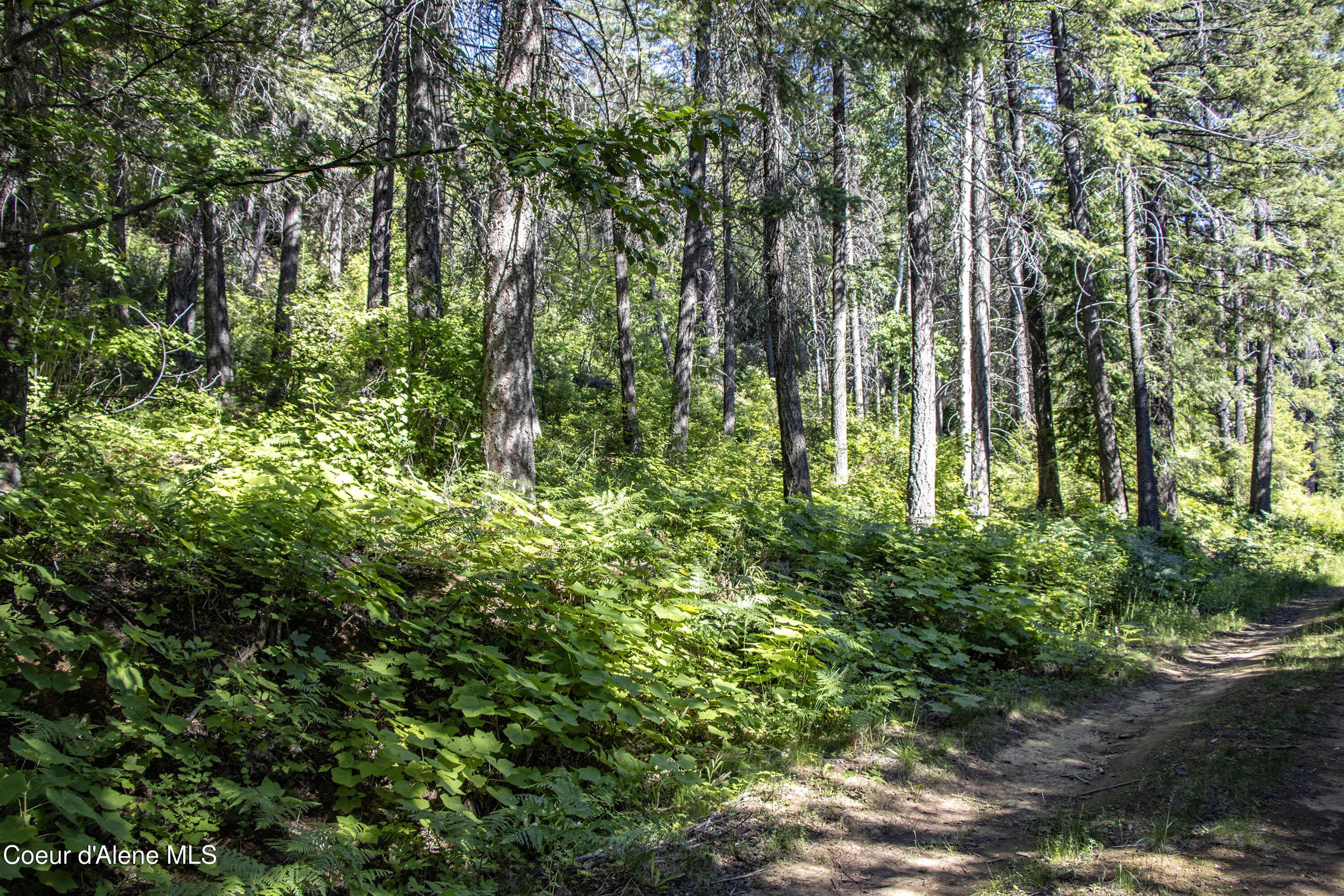 Sagle, ID 83860,Lot 4 Windham RD