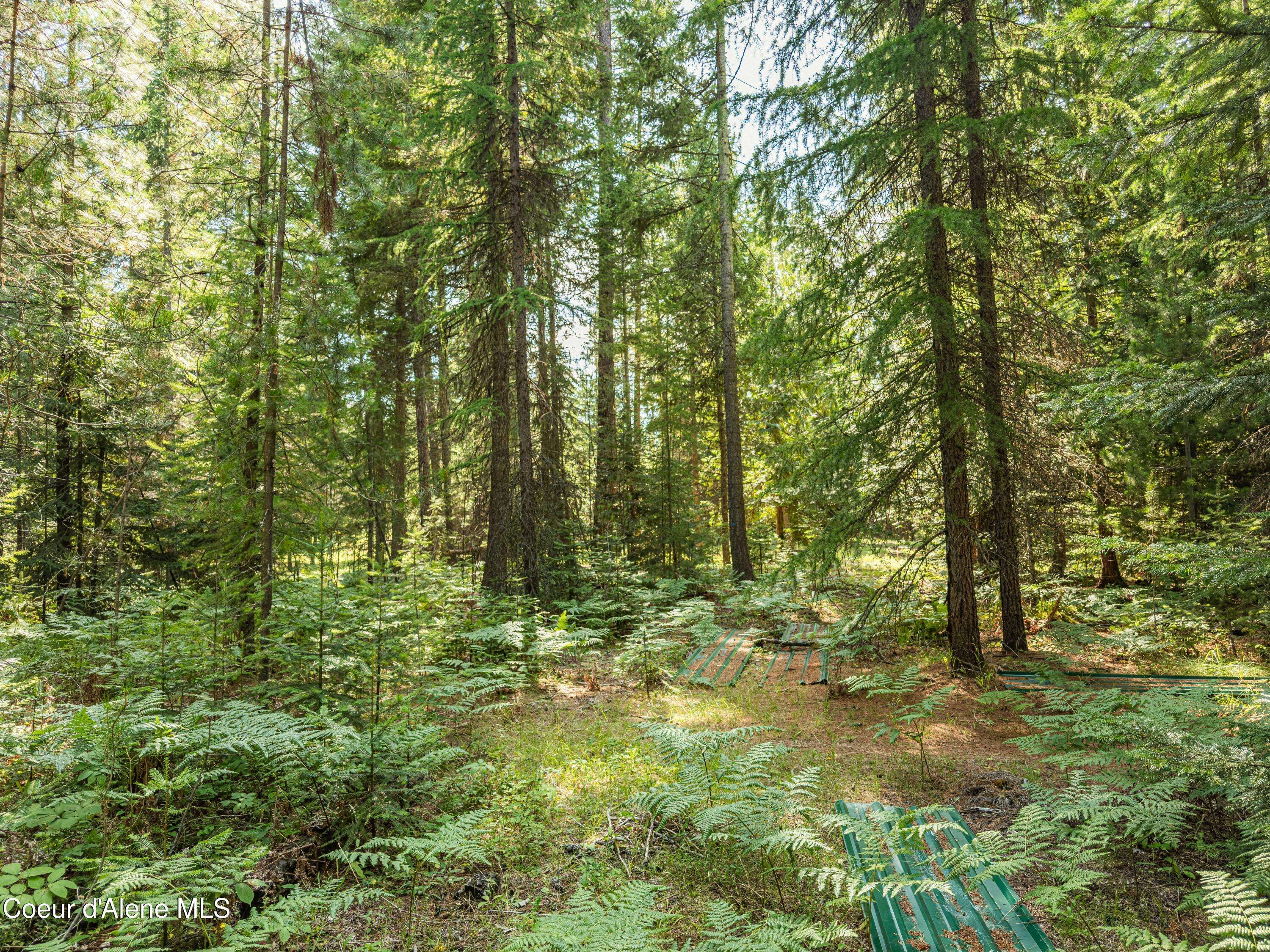Moyie Springs, ID 83845,631 Wolverine Rd