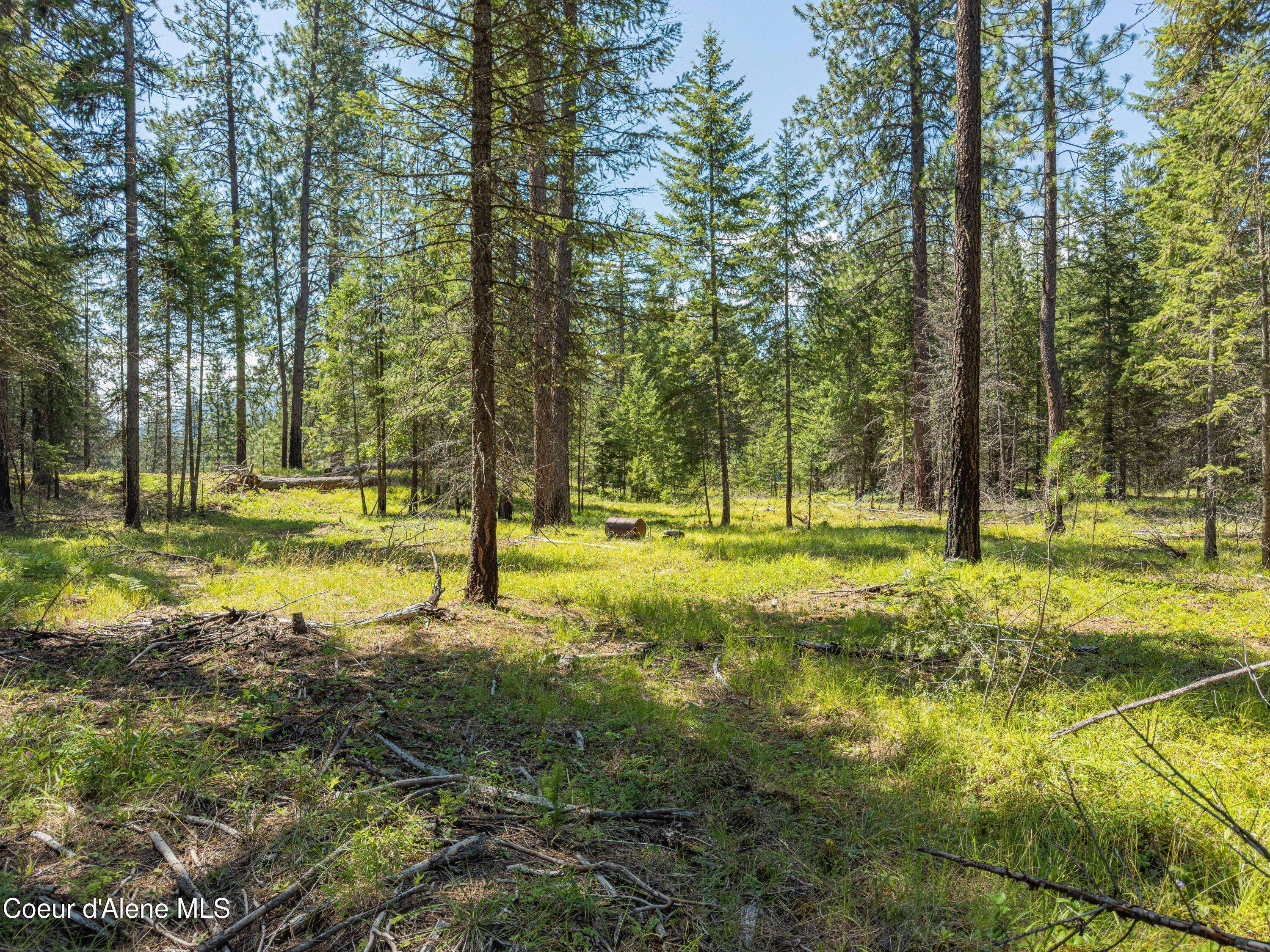 Moyie Springs, ID 83845,631 Wolverine Rd