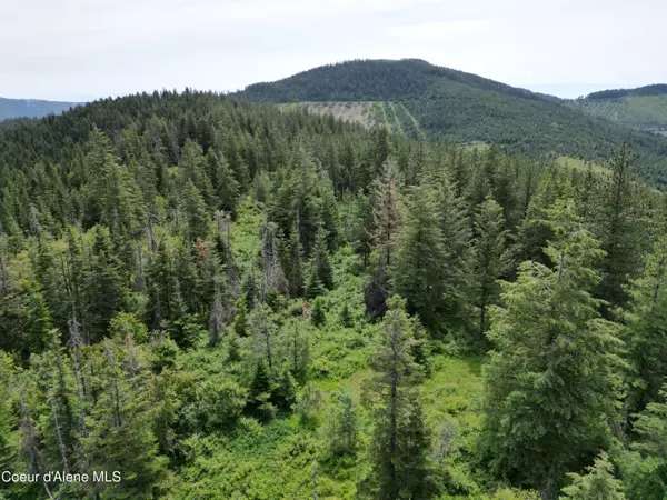 Cataldo, ID 83810,NKA INITIAL PEAK RD