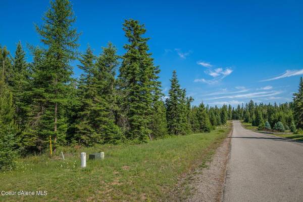 Lot 10 E Riley LOOP, Athol, ID 83801