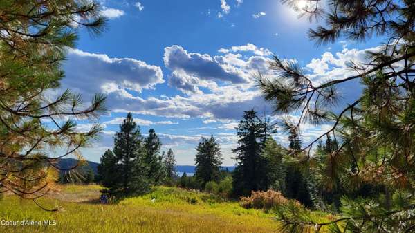 NNA E Badger Rd, Harrison, ID 83833