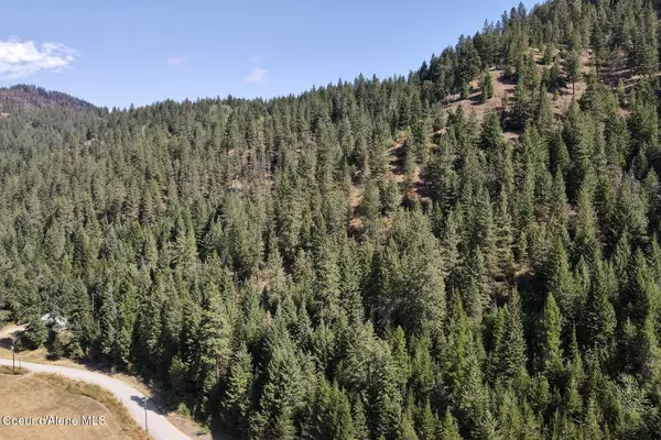 Lot 4 Bodie Canyon RD, Priest River, ID 83856